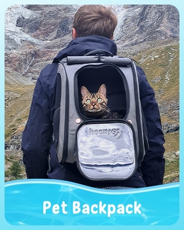 Text reads 'Pet Backpack' (white text on blue banner). Person wearing black backpack with transparent pet carrier window showing small cat inside, viewed from behind against mountainous landscape background.