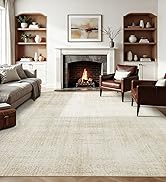 Area Rugs for Living Room, Non Slip Machine Washable Vintage Rug, Low Pile Chenille ...