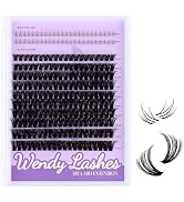 WENDY LASHES 50D Natural Lash Clusters with Bottom lashes 249PCS Individual Eyelash Extensions Re...