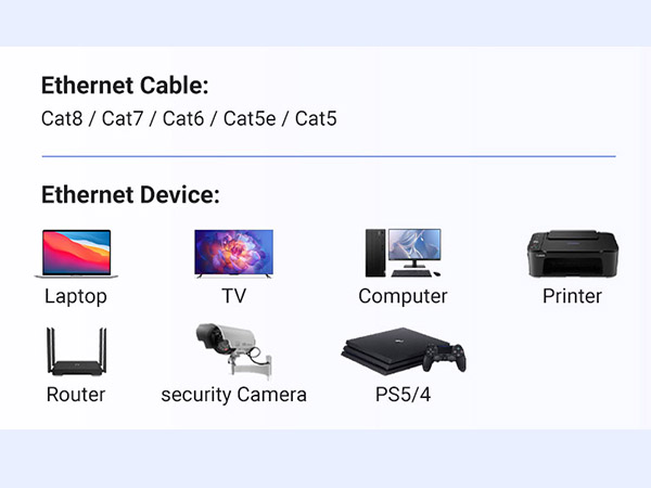 Ethernet Splitter 1 to 2