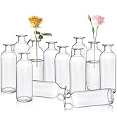 Peohud Set of 12 Glass Bud Vases, Clear Small Flower Vases, Decorative Glass Bottles Floral Vases...