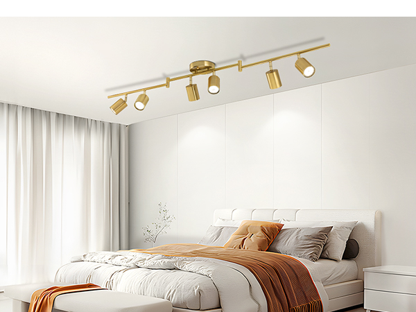 6 Ways Track Lighting Gold
