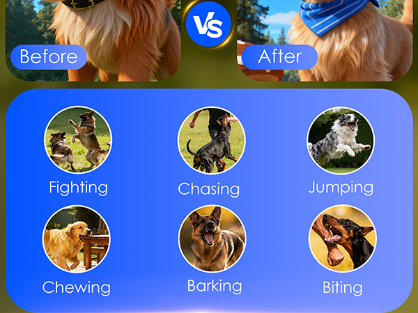 dog bark deterrent devices