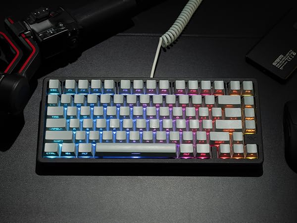 womier retro pbt keycaps light grey side printed shine through keycaps double shot OEM profile