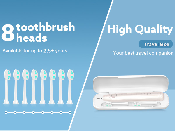 Electric Toothbrush