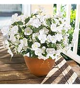 Hoppwodd Hibiscus Artificial Flowers for Outdoors Spring Decoration, 6 Bundles Faux Silk Flowers ...