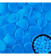 20PCS 1.2-1.6" Flake Shape Bule Glow in The Dark Rocks Luminous Stone Glowing Stones for Plant Po...