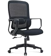 Great Trust Ergonomic Office Chair with Lumbar Support - Adjustable Height &amp; Tilt for Home, Offic...