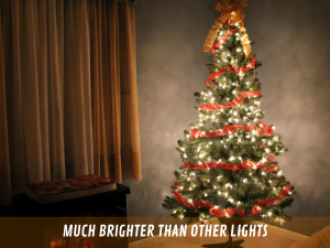Fairy Lights
