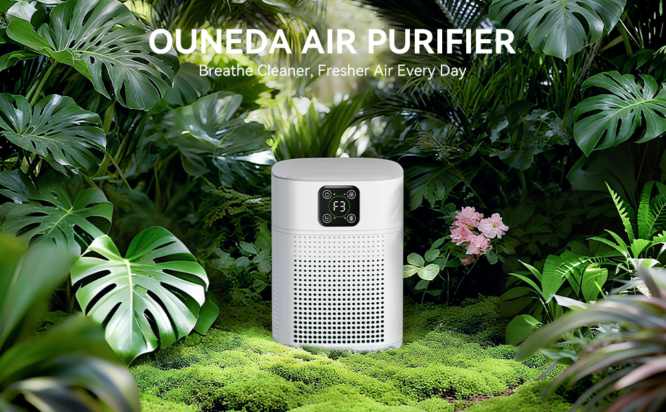 air purifier