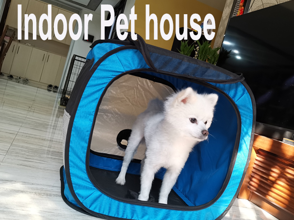 indoor pet house