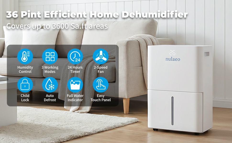 dehumidifier