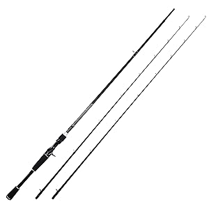 Twin-tip Casting Rod