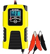 Huiaipaic 6V 12V Battery Charger Maintainer, 2-Amp Fully Automatic Smart Charger, Portable Trickl...
