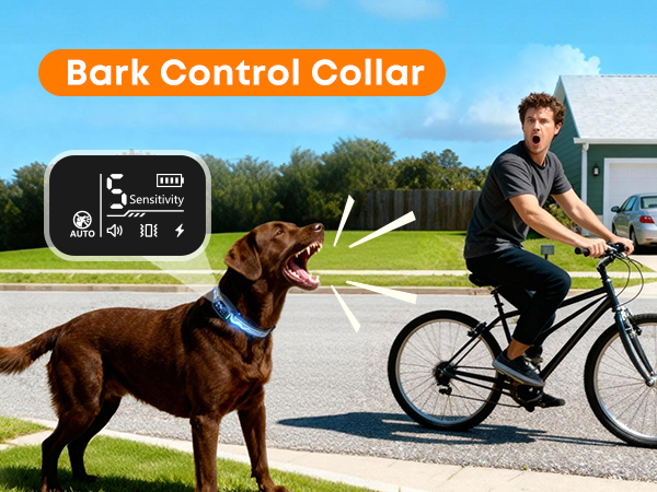 dog shock collar