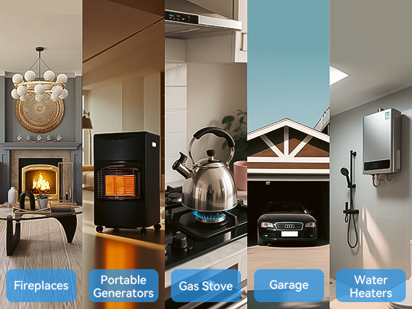 Plug in Carbon Monoxide and Combustible Gas Alarm Detector