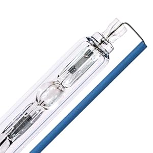 OE Bulb