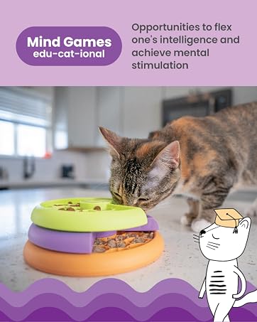 Mind Games. Educational toys.