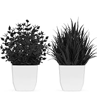 https://m.media-amazon.com/images/S/aplus-media-library-service-media/113591c7-8fbb-4cc7-89d6-3f28f8623c53.__AC_SR200,225___.jpg