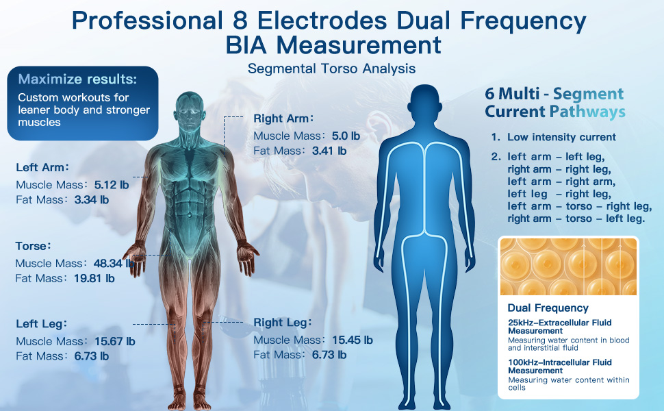 body composition scale
