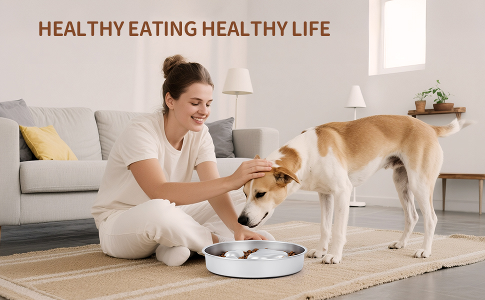 dog slow feeder bowl large breed
