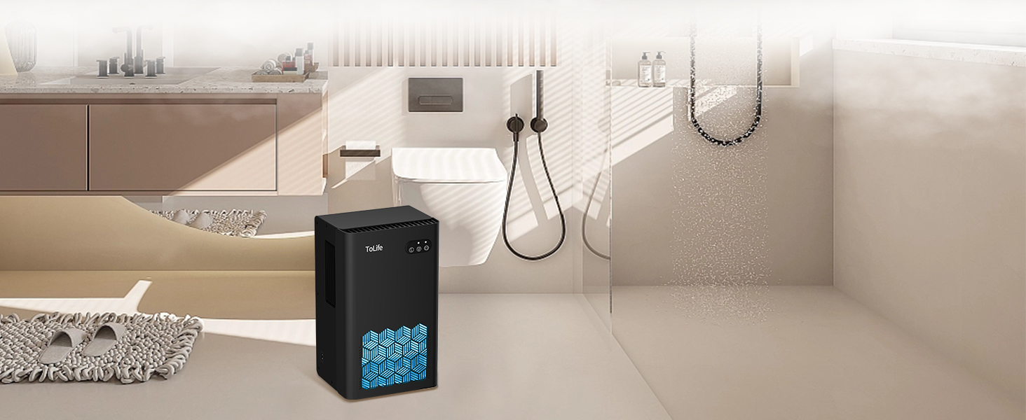 dehumidifier for bathroom