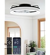 Aphyni 20-Inch Low Profile Ceiling Fan with Lights and Remote Control, Black Modern Flush Mount L...