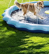 Splash pad, dog pool