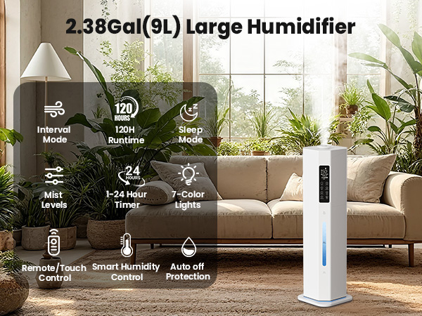 plants humidifier indoor