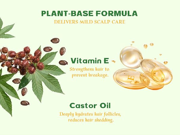 rosemary shampoo bar hair growth Oily Sensitive Itchy Thinning Dandruff Prone Scalp travel size
