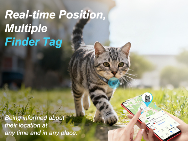 gps tracker