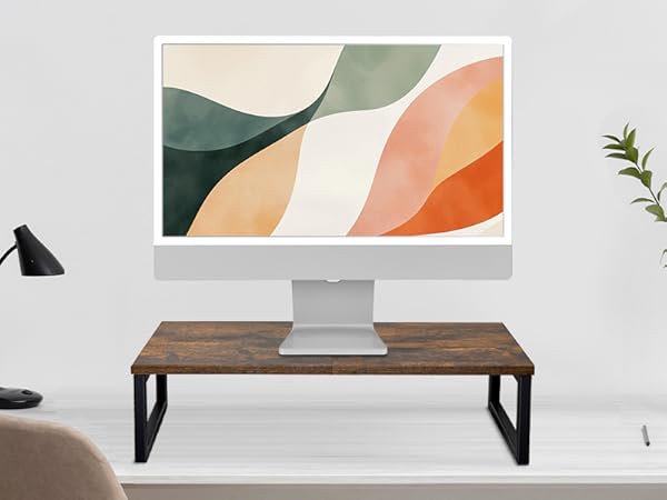 Computer Monitor 24-inch