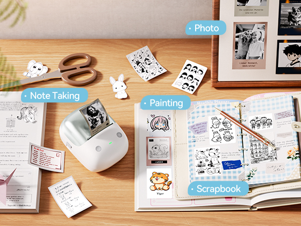 niimbot b2 pro for gift choice
