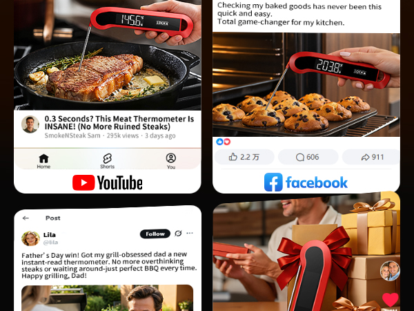Meat Thermometer