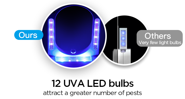 fruit fly traps for indoors gnat traps for house indoor gnat killer indoor fruit fly killer gnats