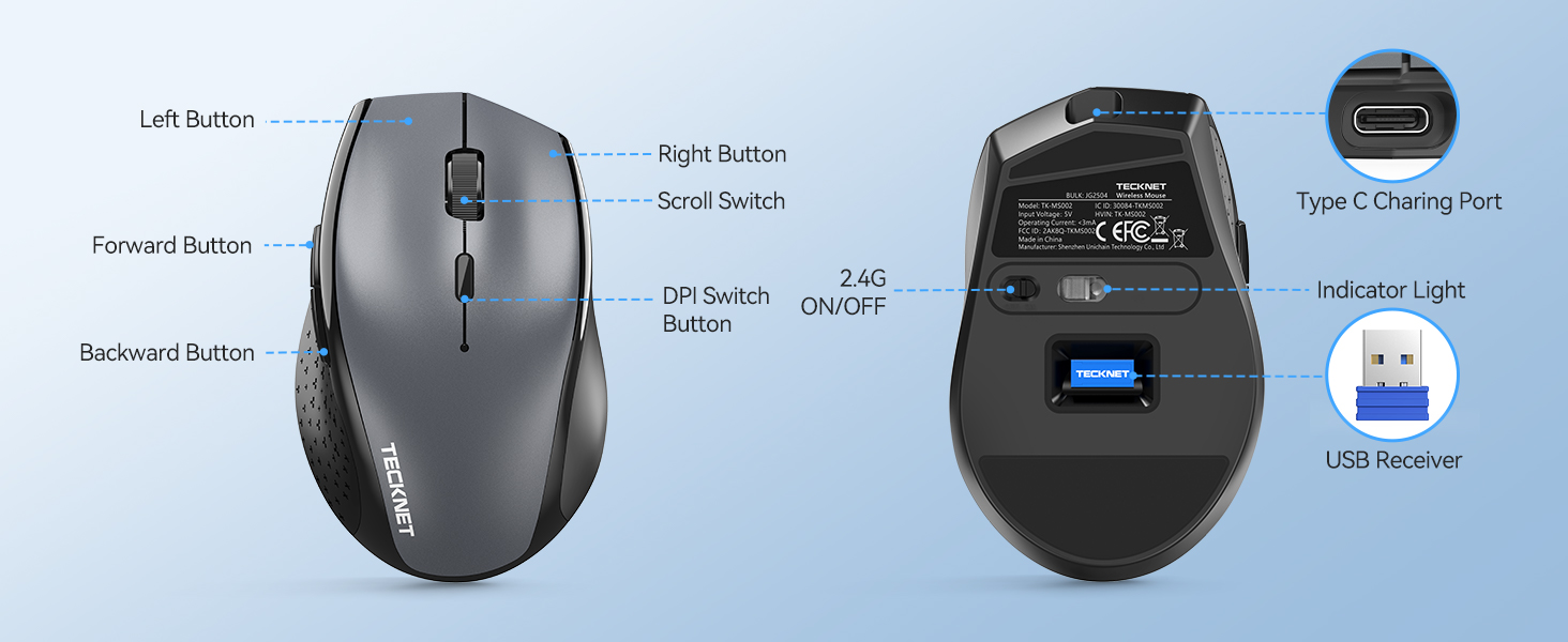 mouse