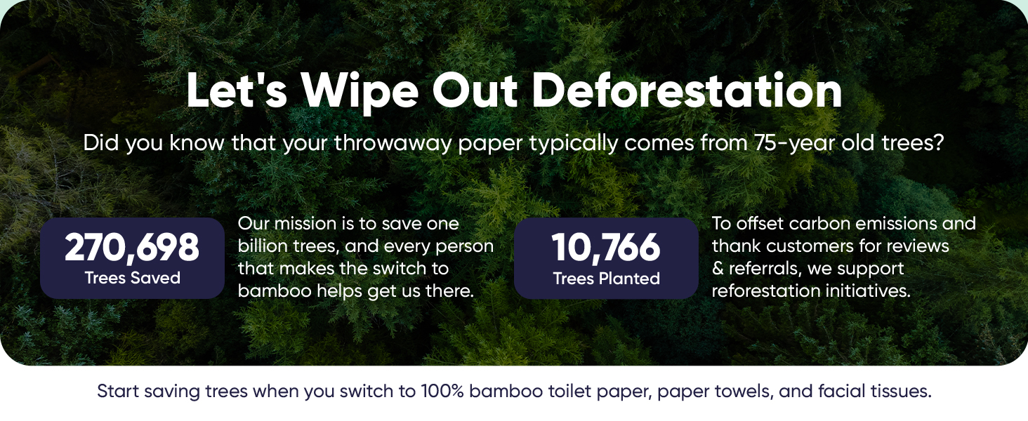 bamboo paper towels kitchen roll recycled towel super plant based disposable tree free products