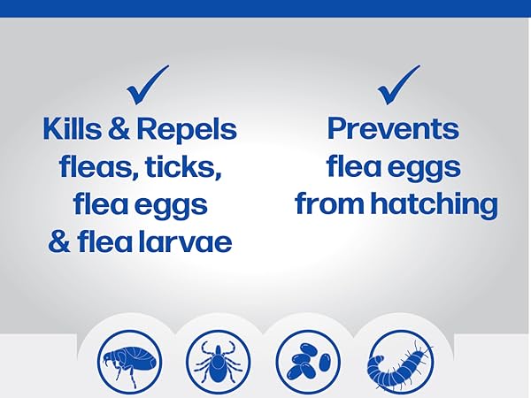Kills, Repels and Prevent