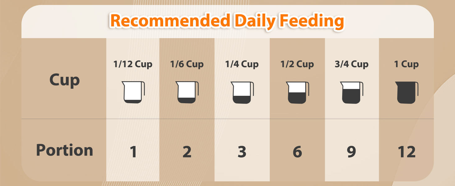 automatic food dispenser for cats