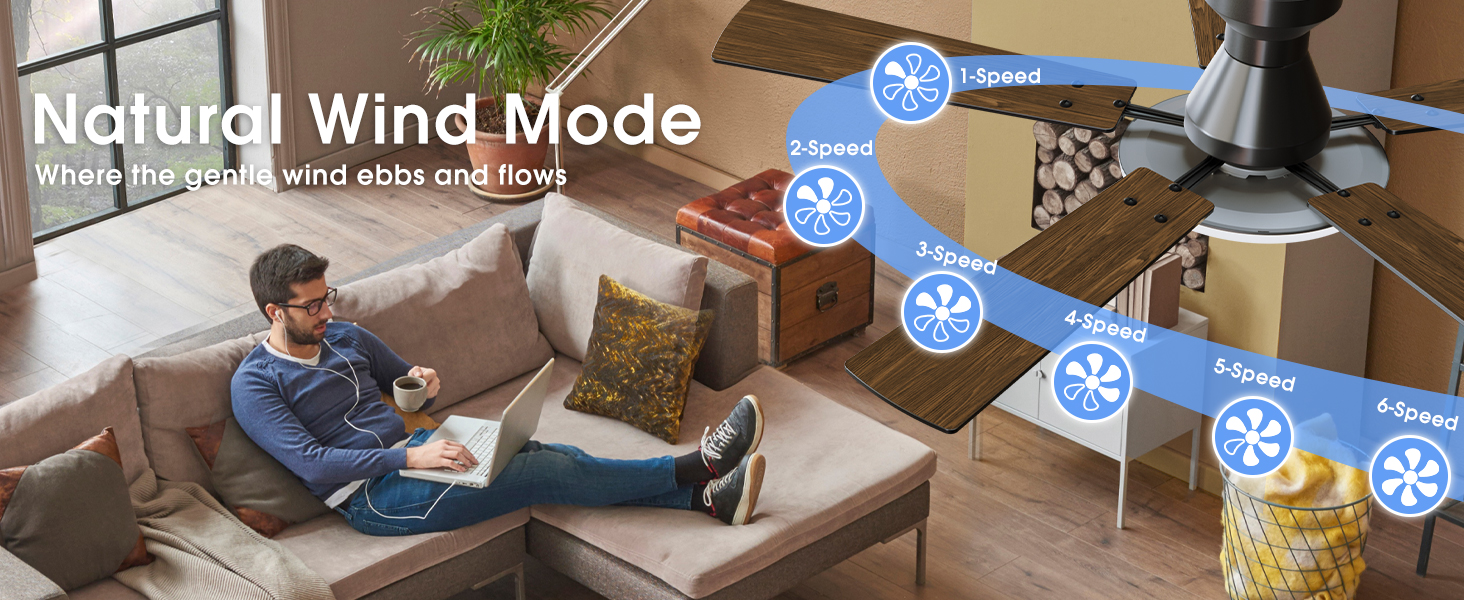 Ceiling fans timer setting
