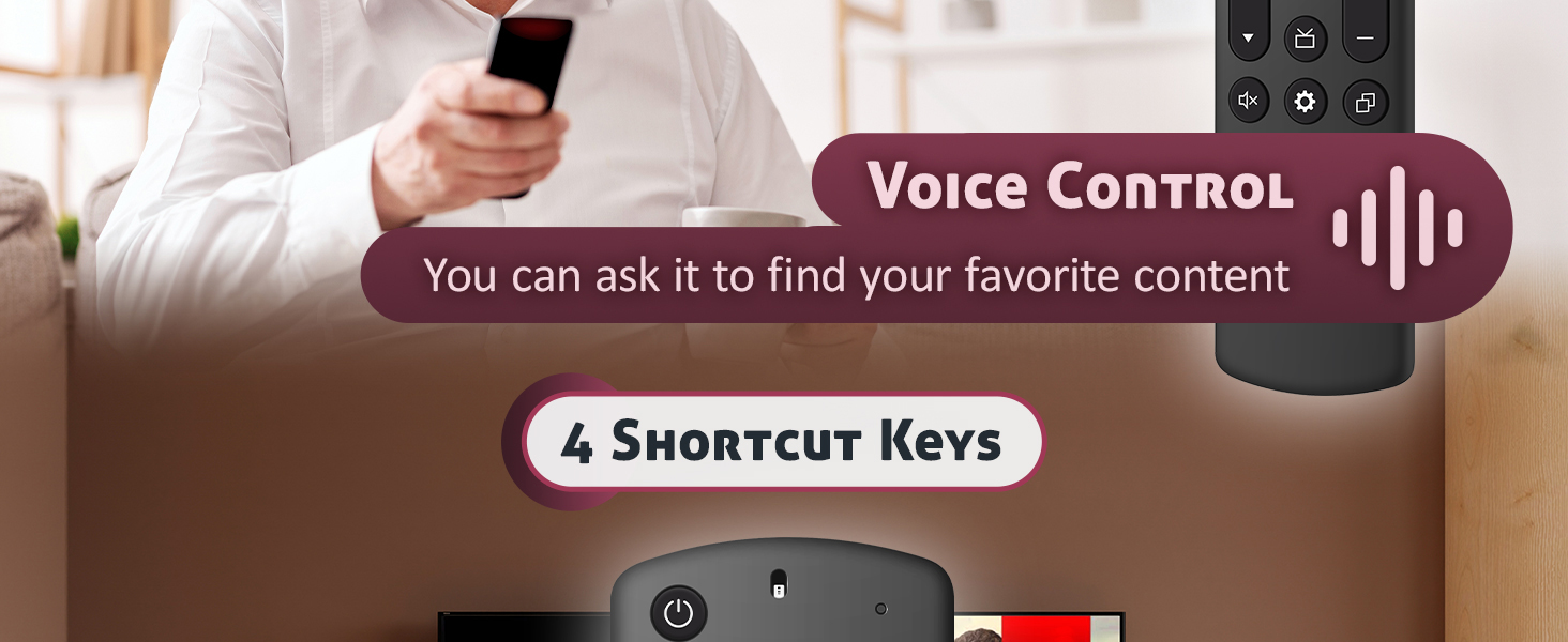 Replacement Voice Remote