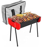 GRiliFE 19 inch Charcoal Grill, Portable Barbecue Grill with Storage Travel Bag, Easy to Assemble...
