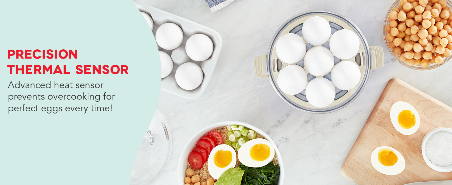 Precision Thermal Sensor