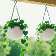 Ceiling Hooks for Hanging Plants