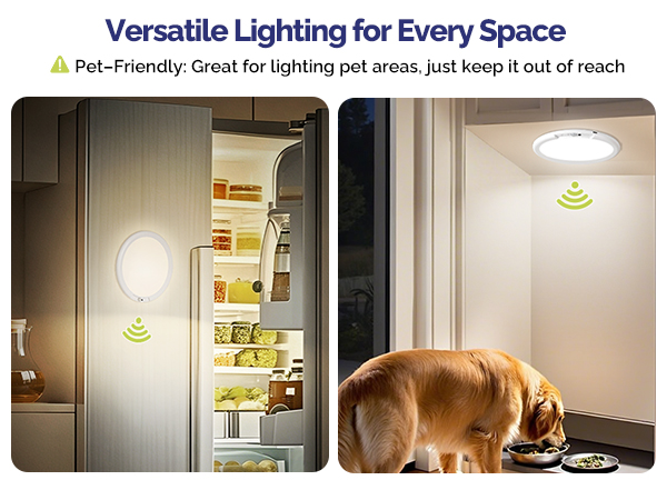 Battery Operated Ceiling Light with Remote