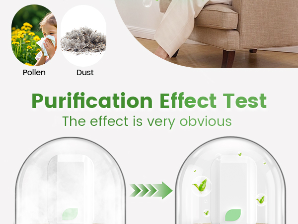 Negative Ion Air Purifier