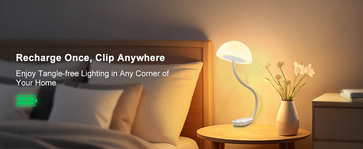 portable desk lamp