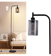 DLLT Floor Lamp Tall for Room: Black Standing Lamp with Grey Glass Lampshade for Living Room - Mo...