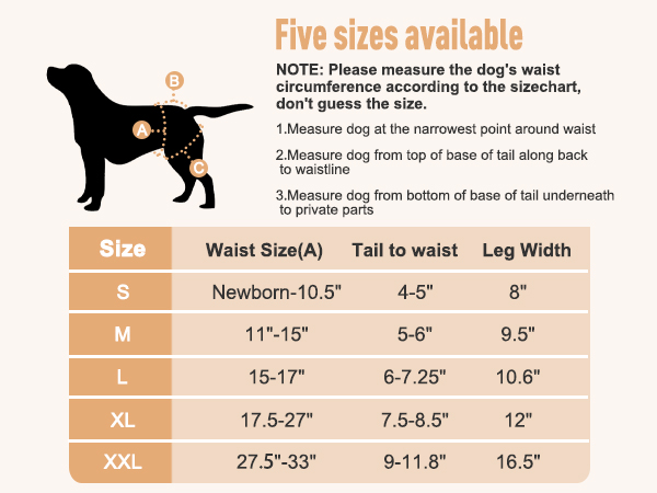 Dog Diapers Female