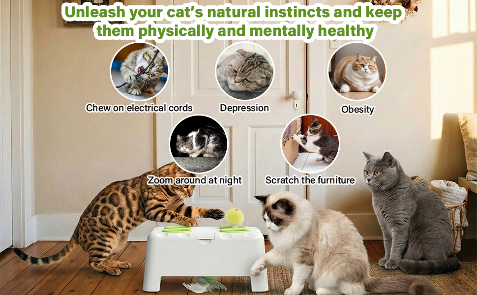 interactive bird toy for cats